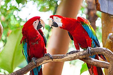 暗黑国风动作Roguelite游戏《暖雪》公开